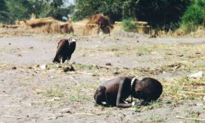 Как побороть мировой голод