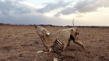 Вместо потепления – ледниковый период. Как западная элита готовит для себя будущую комфортную жизнь