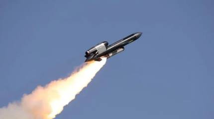 «Фламинго» против фактуры. Девять месяцев боевого применения