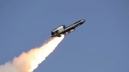 «Фламинго» против фактуры. Девять месяцев боевого применения