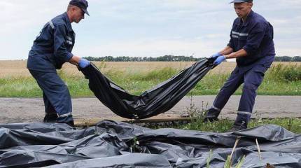 ИКАО или не ИКАО? Кто будет расследовать катастрофу "Боинга-777"?