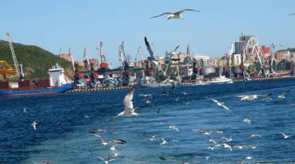 Минвостокразвития хочет триллионы