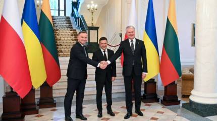 Польша и Прибалтика заявили о необходимости оказания военной помощи Украине