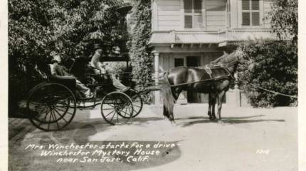 Проклятие семьи Винчестеров