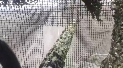 ВС РФ вплотную подошли к юго-восточной границе Харьковской области и взяли под контроль участок дороги на Боровую