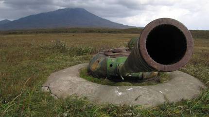 Россия — Японии: уши вам от мёртвого осла, а не Курилы!