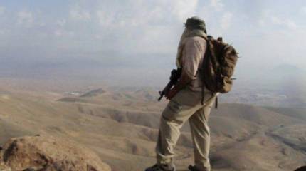 Представитель администрации Запорожской области заявил, что тысячи иностранцев желают участвовать в СВО на стороне России