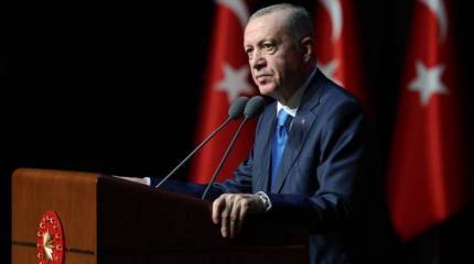 Эрдоган внёс на рассмотрение турецкого парламента документ о вступлении Швеции в НАТО