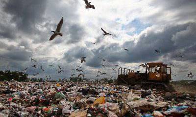 МВД: сотрудники Минобороны позволили организовать в Подмосковье свалку