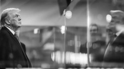 Австрийский обозреватель сравнил США при Трампе с Германией образца 1933 года