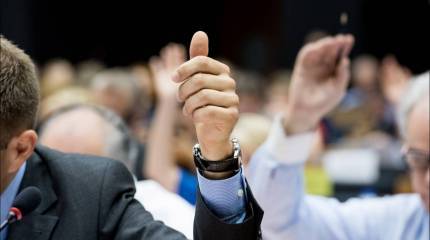 Резолюция Европарламента — экзамен на адекватность