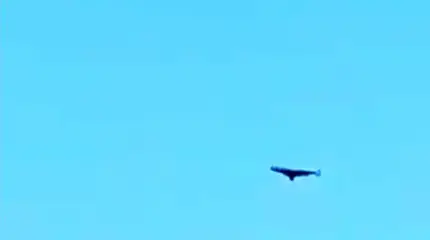 Реактивная 
