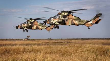 «Под вопросом боеготовность Tiger»: интерес ВСУ может оказаться неоправданным