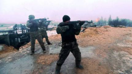 Польша готова поставлять Украине любое оружие, но за плату