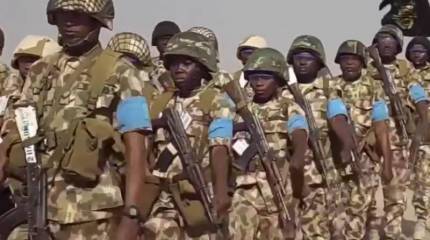 Президент Нигерии направил на рассмотрение в сенат страны план интервенции в Нигер, где произошел антизападный военный переворот