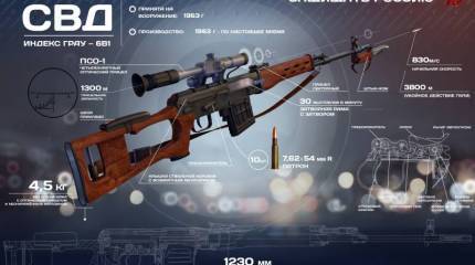 Снайперская винтовка Драгунова. Инфографика