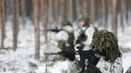 Эстония грозит перенести бои на территорию России в случае вторжения ВС РФ