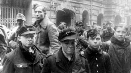 Тайны 22 июня. Великая ложь о «ничтожных» немецких потерях