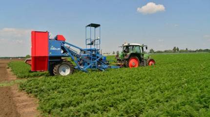 Новая ставка на аграрный локомотив экономики России