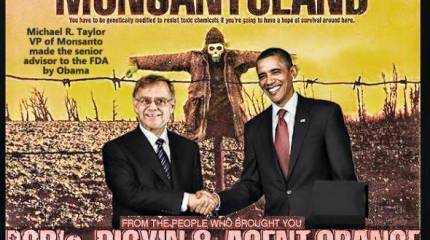 «ГМО-самостийность»: Украина продаст свою землю американским компаниям