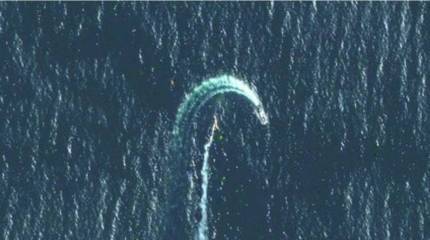 Сражение за остров Змеиный, и москитный флот