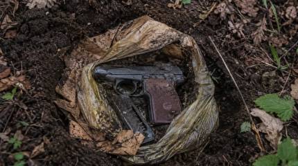 В ФРГ задержали украинца, устроившего тайник с оружием в лесополосе под Берлином