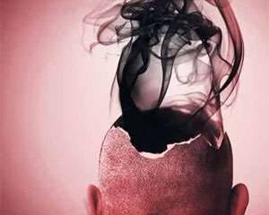 Бациллы плюрализма