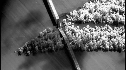 Оправдание массовой путаницы