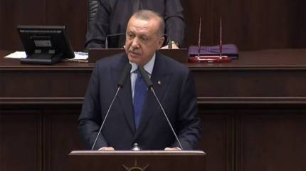 Эрдоган позвонил Трампу и пожаловался на «подлое нападение на турецких военных в Идлибе»