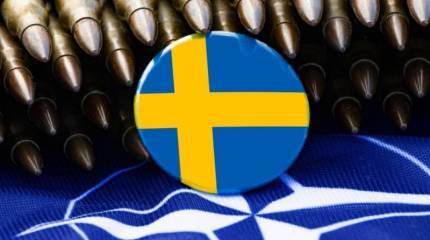 В Гетеборге прошла акция протеста против вступления Швеции в НАТО