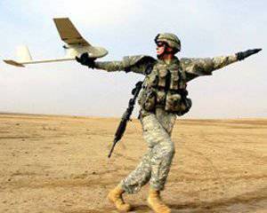 Карманные ВВС