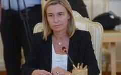 А.Вассерман: «Под видом спасения от преступления европейцы творят новое преступление»