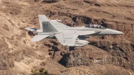 В США отстранили командира эскадрильи самолётов РЭБ E/A-18 из-за «потери способности командовать»