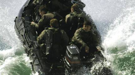 Боевая резина