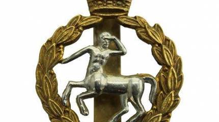 Королевский армейский ветеринарный корпус Великобритании