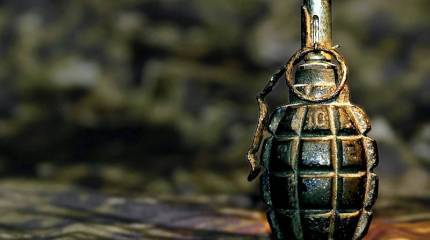 Современные российские гранаты РГН. Инфографика