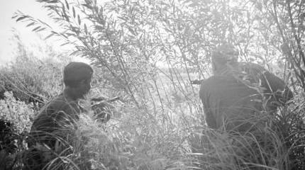 Как Иван Тиньков притворился медведем