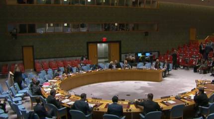 Три страны призвали созвать экстренное заседание Совбеза ООН из-за задержания экс-главреда канала Nexta