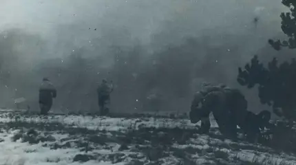 Великая Отечественная война: как проходила Рогачёвско-Жлобинская операция