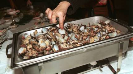 Устрицы и Чёрное море. Биоагрессия