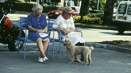 Лето, ах, лето… Лето тёплое, слышишь вой?