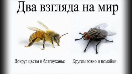 Да валите уже!