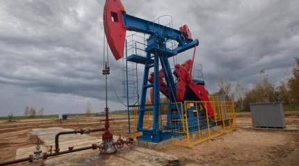 Власти Пакистана планируют осуществлять закупки российской нефти за юани и пакистанские рупии