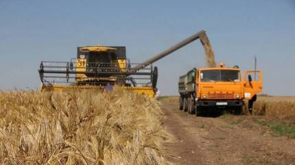 Bloomberg: Украинские аграрии сокращают площади посевов озимых после прекращения действия зерновой сделки