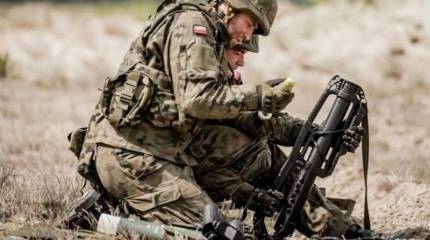 Сообщается о больших потерях польских наёмников в Камышевахе