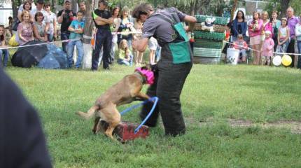 Наши люди. Пример воспитания человечности