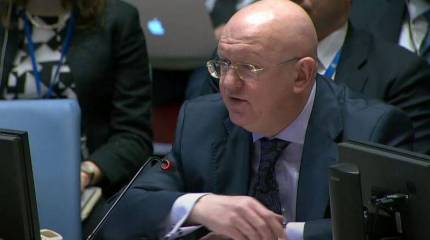 Постпред РФ в ООН: Представляете разницу ситуаций в Газе и на Украине, если люди из Газы возвращаются на Украину из соображений безопасности