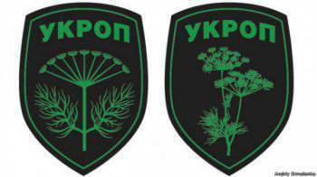 Почему укропов зовут укропами?