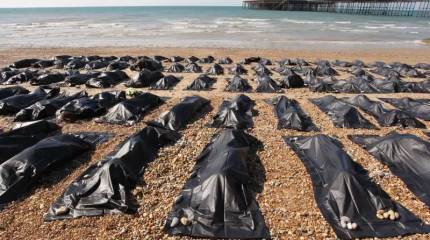 «Мертвые сраму не имут». А живые