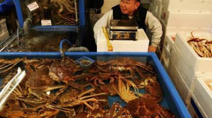 Курилы – это Россия. Единая и неделимая!